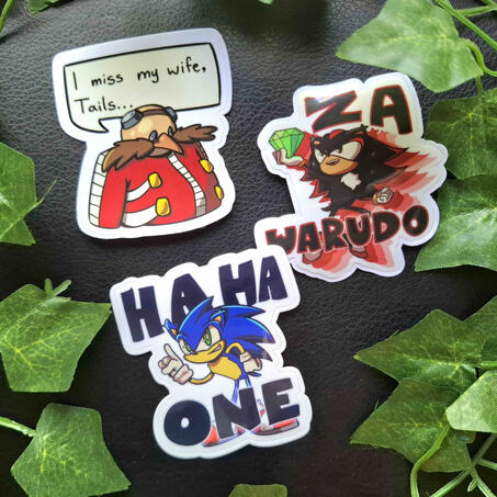 Sonic snapcube